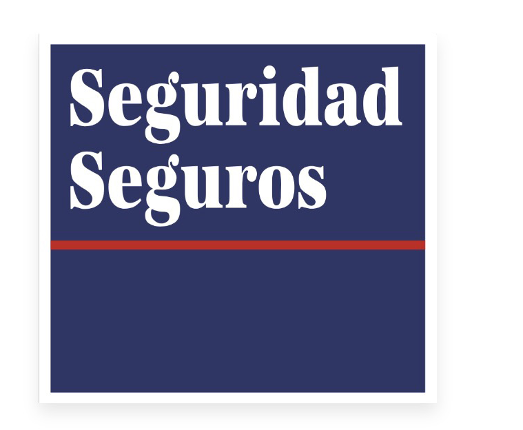 Seguridad Seguros